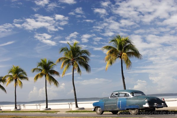 Куба Гавана пальмы