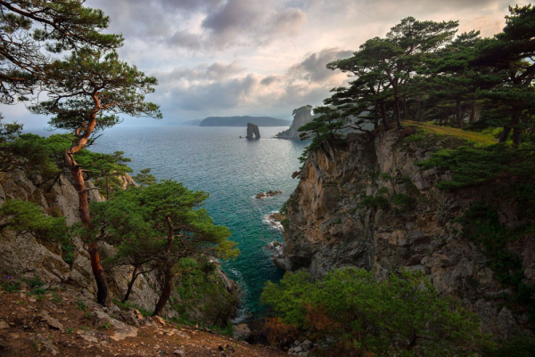 Владивосток русский Сан-Франциско