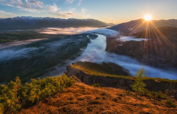 Устье реки Индигирка