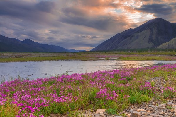 Республика Саха Якутия лето