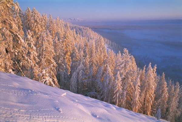 Республика Саха Якутия природа