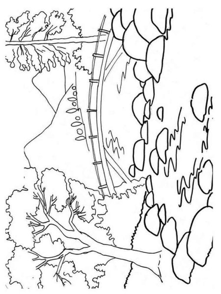 В лесу. Раскраска