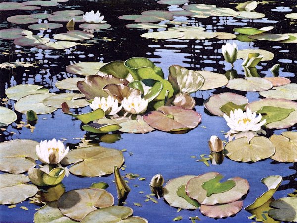 Ээро Ярнефельт кувшинки