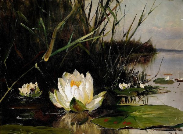 Клевер Юлий Юльевич 1850-1924