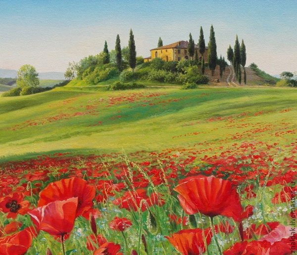 Тоскана Италия маковые поля