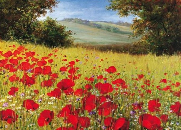 Маковое поле Мэри Дипнолл