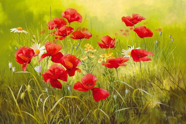 Маковое поле Мэри Дипнолл