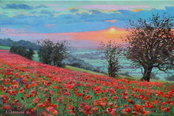 Ян Барткевич поле маков