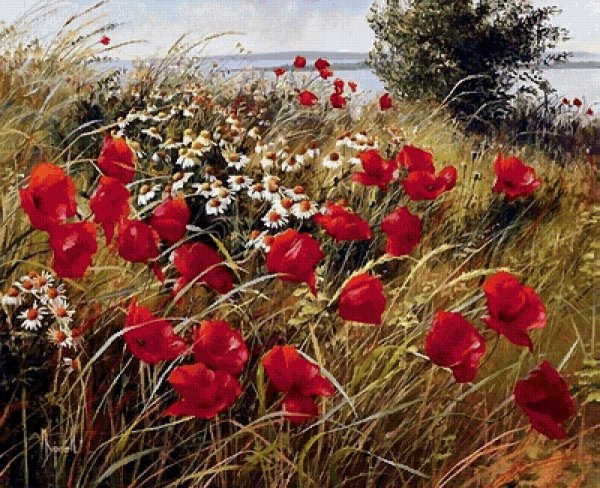 Маковое поле Мэри Дипнолл