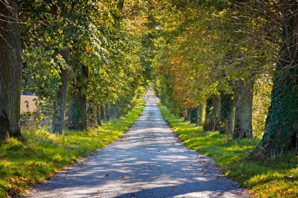 Теннистая или Тенистая аллея