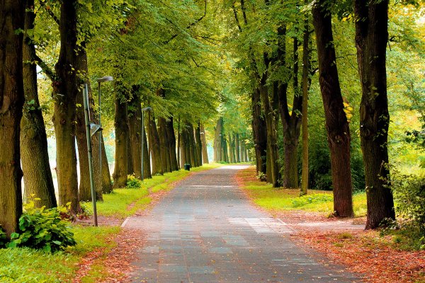 Второстепенные дороги, дорожки, аллеи