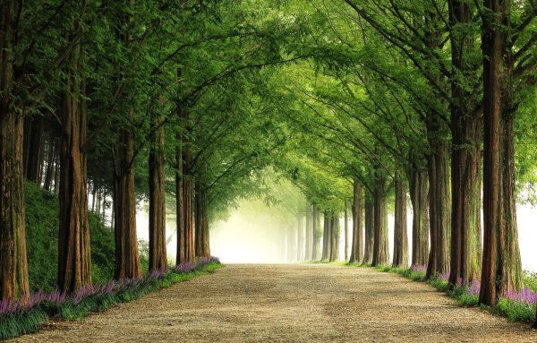 Осенний парк