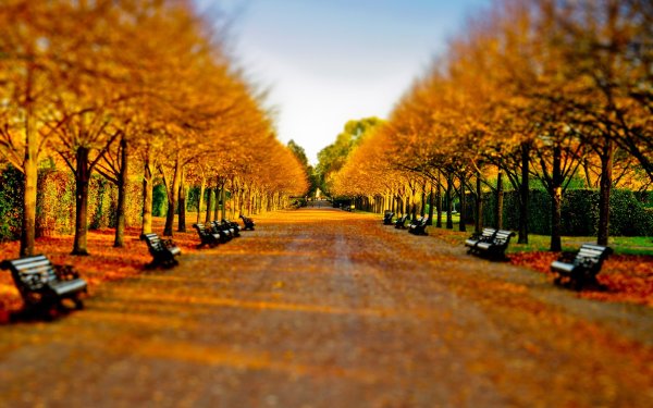 Весенний пейзаж в перспективе