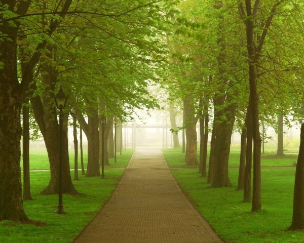 Осень в городе