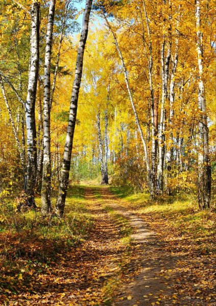 Ранняя осень