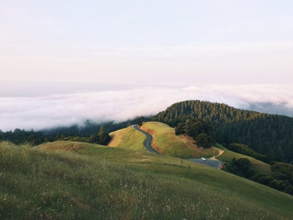 Зелёные холмы Холмская