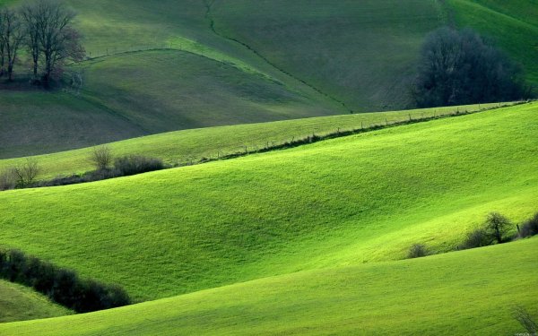Green Hills зеленые холмы