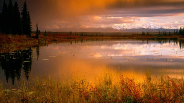 Насыщенный пейзаж