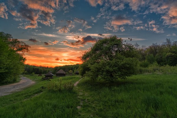 Профессиональные пейзажи