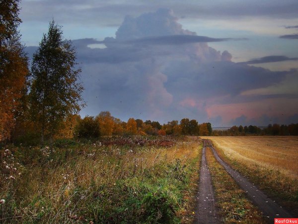 Жанр фотографии пейзаж