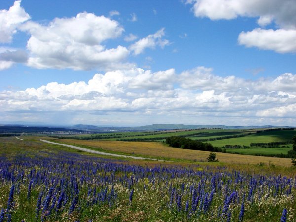 Дорога в степи Хакасии