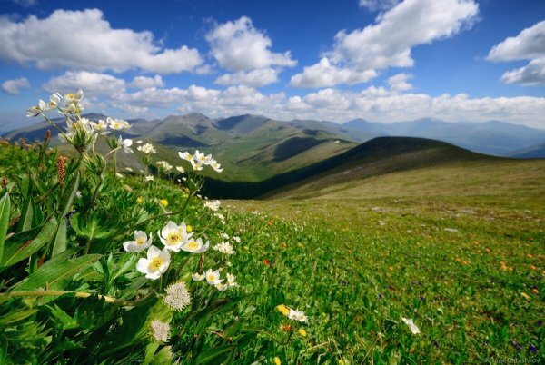 Белый Июс Хакасия