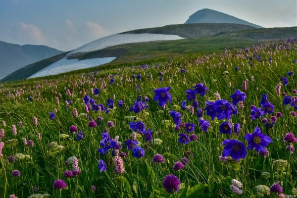 Саяны заповедник Ергаки сундуки