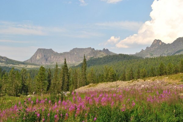 Степь с менгирами Хакасия