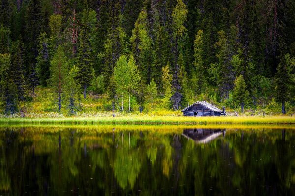 Финляндия Хельсинки природа