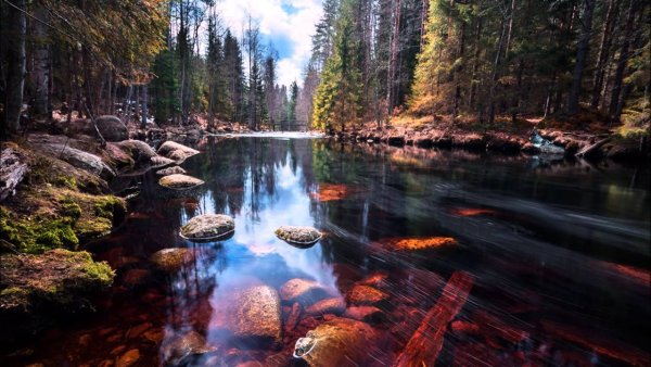 Финляндия Хельсинки природа