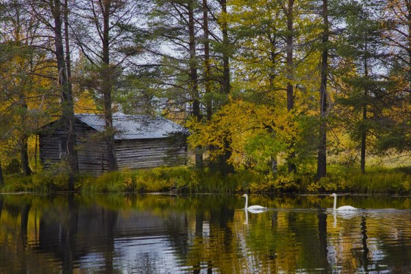 Финские озера Финляндия 1920