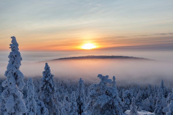Лапландский заповедник зимой
