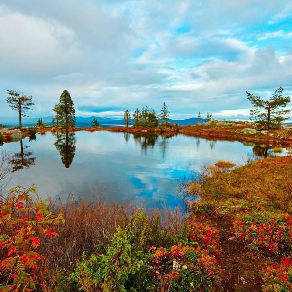 Финляндия Хельсинки природа