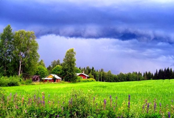 Красивый финский летний пейзаж