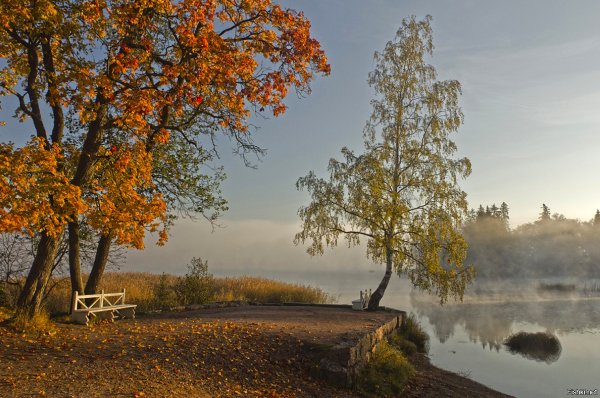 Осеннее утро