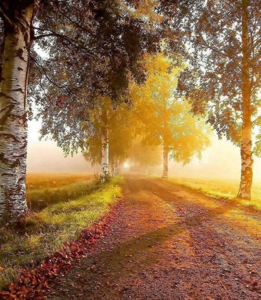 Осенний пейзаж