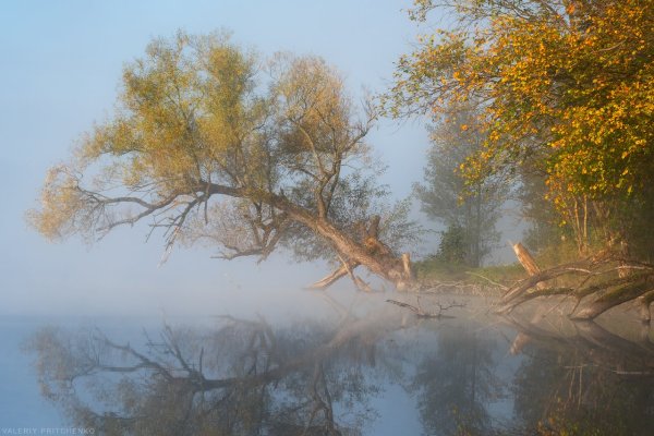 Осеннее утро природа