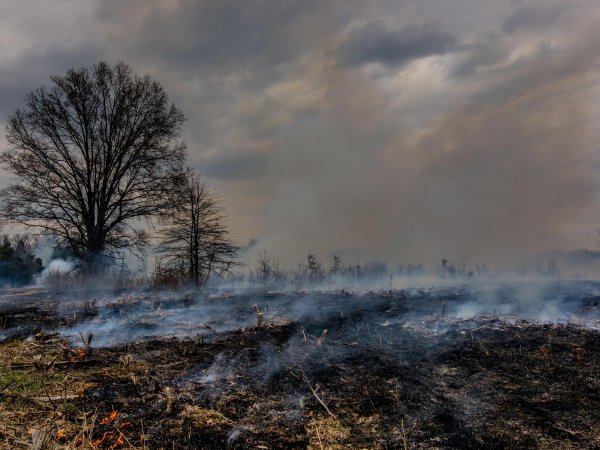 Военный пейзаж