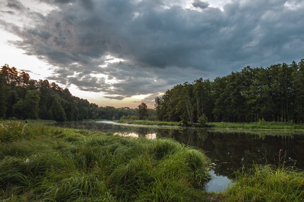 Саров природа