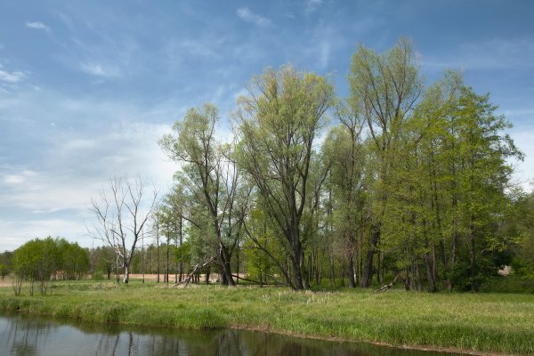 Саров природа