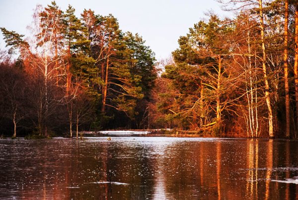 Серебряные ключи Саров