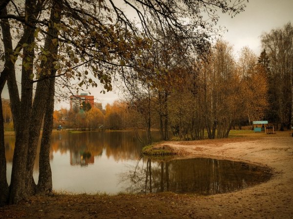 Город Саров осень