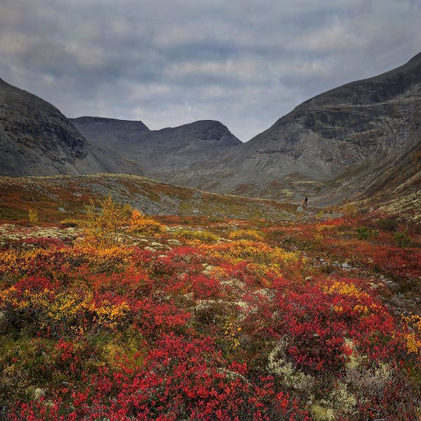 Северная природа Кольский полуостров