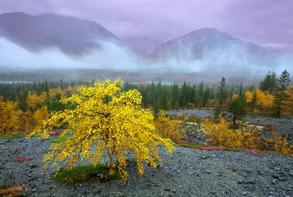 Хибины Кольский полуостров