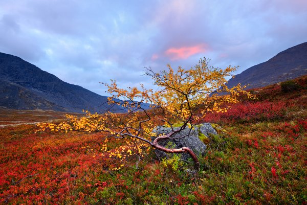 Кольский полуостров горы Хибины