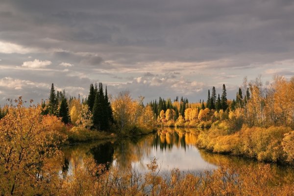 Природа Томска и Томской области