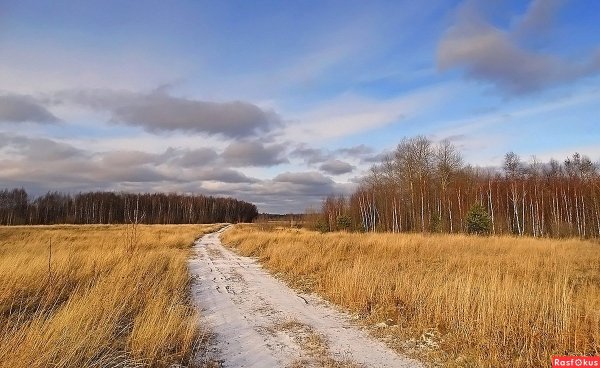Пейзажи Томской области