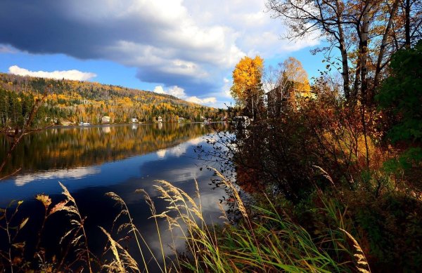 Природа Томской области пейзаж