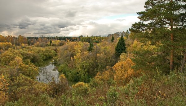 Пейзажи Томска