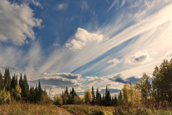 Родной край Томская область